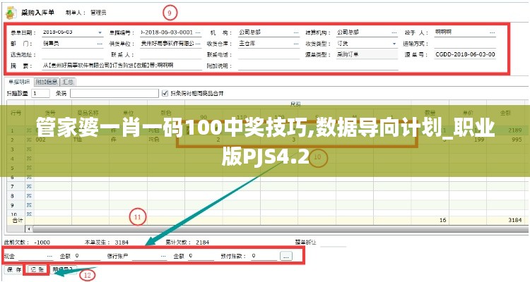 管家婆一肖一码100中奖技巧,数据导向计划_职业版PJS4.2