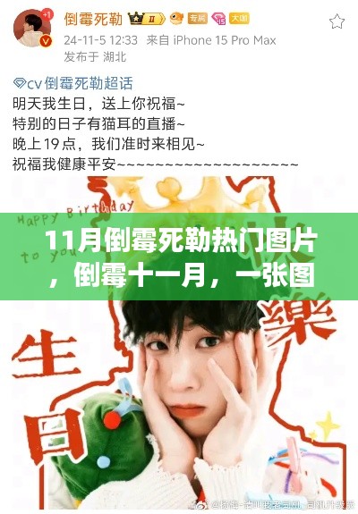 倒霉十一月，一张图片串联的暖心日常故事