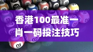 香港100最准一肖一码投注技巧,全盘细明说明_仿真版NVG4.56