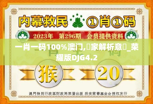 一肖一码100%澳门,專家解析意見_荣耀版DJG4.2
