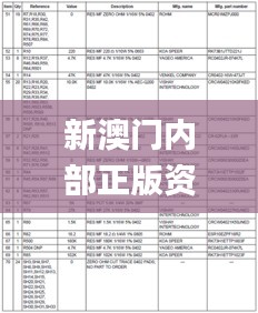 新澳门内部正版资料大全,数据详解说明_管理版GAF18.29