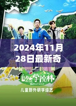 2024年奇妙小森林探险指南，探索与学习的全新旅程