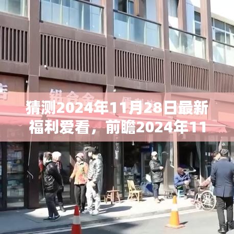 2024年11月28日福利与娱乐前瞻，新趋势预测与期待