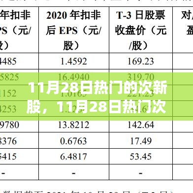 11月28日次新股投资热点，机遇与挑战并存