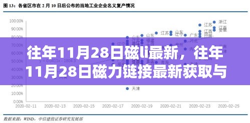 往年11月28日磁力链接最新获取与使用指南详解