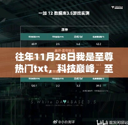 往年11月28日科技狂欢盛典，至尊热门TXT产品体验报告