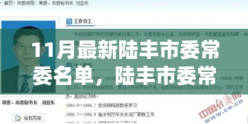 陆丰市委常委名单更新，特性、体验、竞品对比及用户群体深度解析
