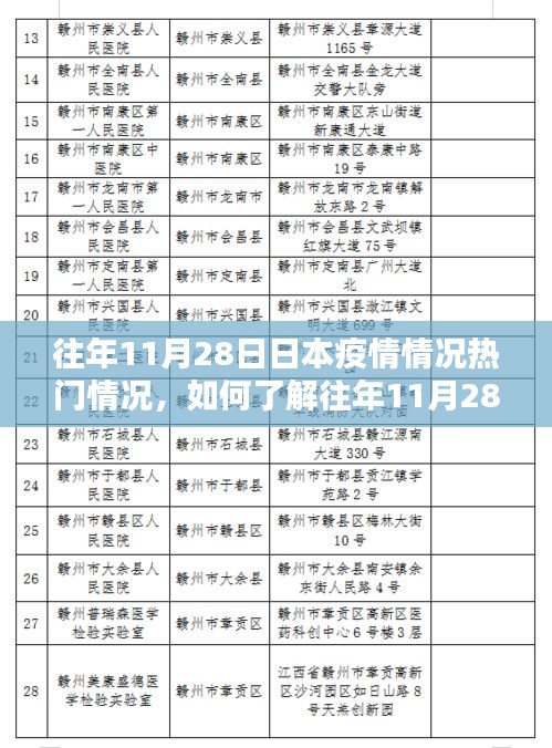 往年11月28日日本疫情热点详解，了解疫情情况的步骤指南