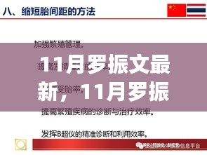 罗振文11月最新观点，深入解读XX话题的深层影响及立场