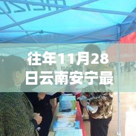 云南安宁最新招聘信息概览，历年11月28日更新汇总