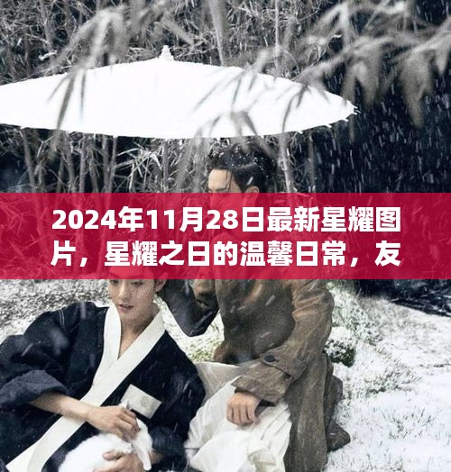 星耀之日的温馨日常，友情、陪伴与爱的瞬间（最新图片，2024年11月28日）