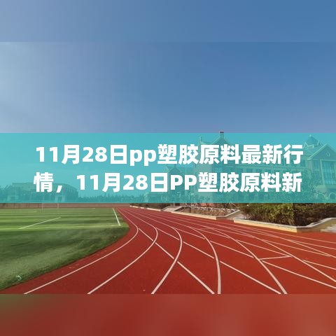 11月28日PP塑胶原料行情下的心灵探索，自然宝藏与内心宁静的拥抱