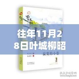 探秘神秘书店，叶城柳昭晴小说最新章节免费阅读揭秘！