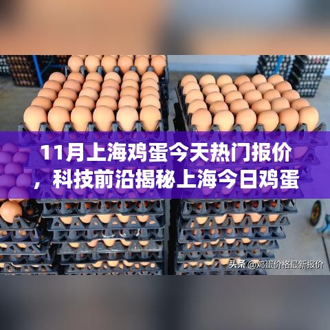 上海鸡蛋行情热门报价揭秘，科技引领智能交易新时代