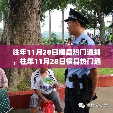 往年11月28日横县热门通知及热门产品评测概览