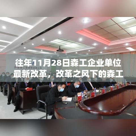 森工企业单位改革之旅，日常温馨变革的启示（最新改革动态）