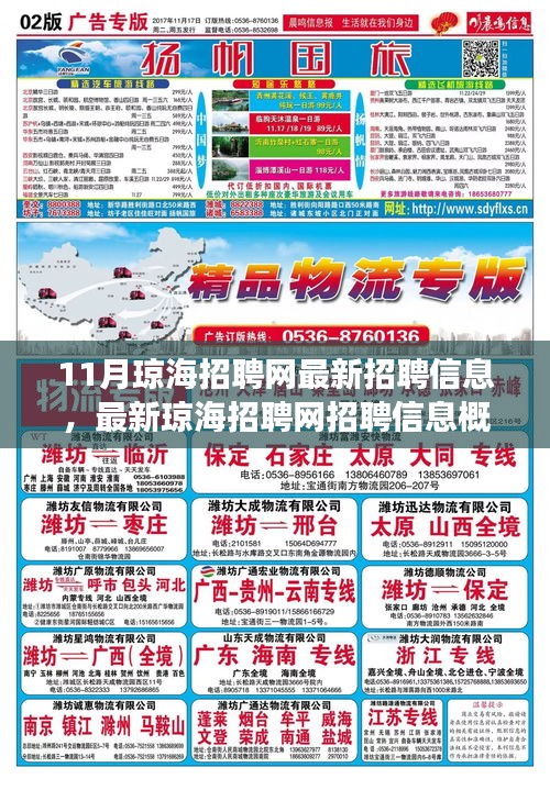 11月琼海招聘网最新招聘信息聚焦，热点职位与趋势发展概览