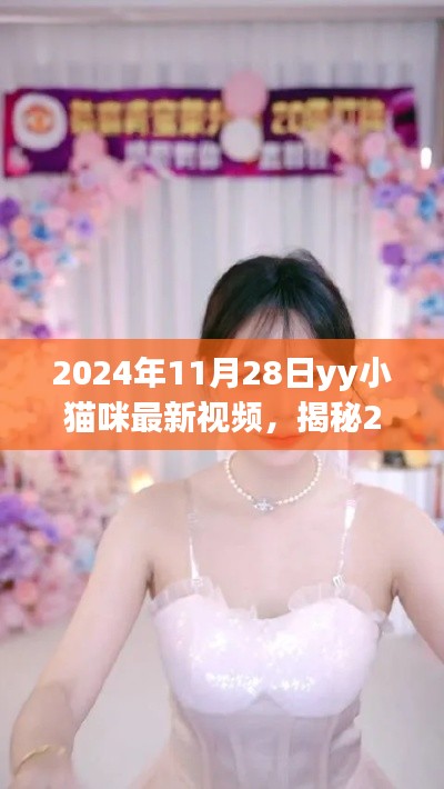 揭秘YY小猫咪最新视频，三大看点深度解析（2024年11月28日）