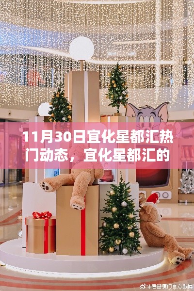 宜化星都汇11月30日温馨日常与奇遇，陪伴中的火热动态