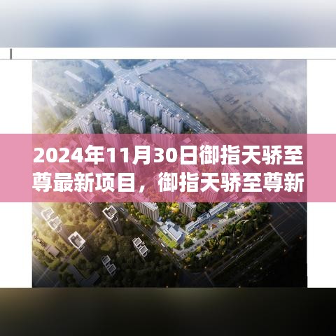 御指天骄至尊新项目启航，学习变化，自信成就梦想日（2024年11月30日）