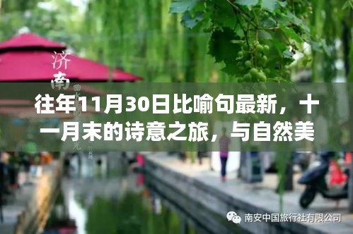 十一月末的诗意之旅，与自然美景共舞，寻找内心的宁静，比喻句精选呈现
