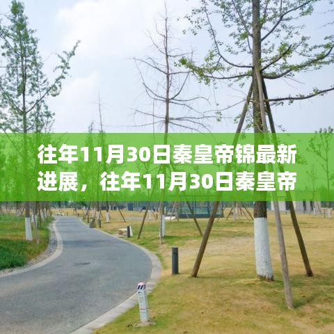秦皇帝锦最新进展揭秘，参与方式及进展详解，了解项目每一步动态