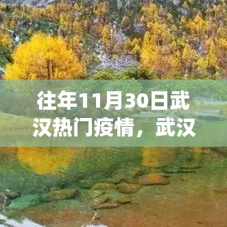 武汉秋日秘境，疫情后的自然探索之旅，历年11月30日热门疫情回顾