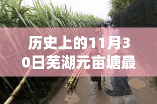 历史上的11月30日芜湖元亩塘最新消息，历史上的今天，芜湖元亩塘的新篇章——变化中的学习，铸就自信与成就