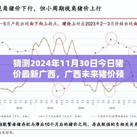 广西未来猪价预测，智能系统引领新时代，科技照亮养猪产业前景展望（最新猜测至2024年11月）