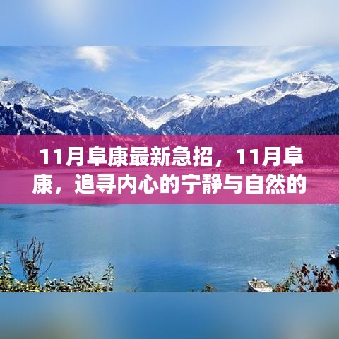 11月阜康急招旅行达人，心灵之旅启程，追寻宁静与自然的狂欢