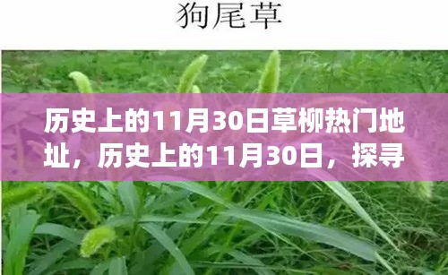 飞鸟惊蛇 第2页