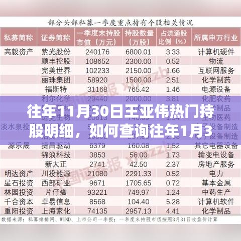 王亚伟往年持股明细查询指南，如何查看往年1月30日热门持股明细详细步骤解析