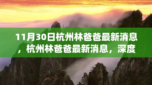 杭州林爸爸最新消息解析，各方观点与个人立场深度探讨