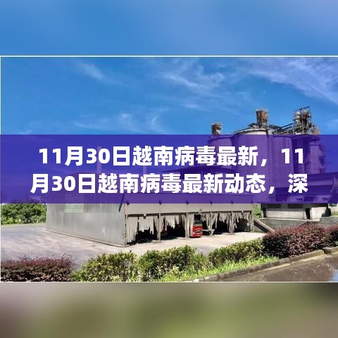 越南病毒最新动态深度解析与前沿观察（11月30日更新）