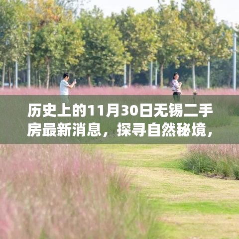 探寻自然秘境，无锡二手房市场最新动态与心灵之旅