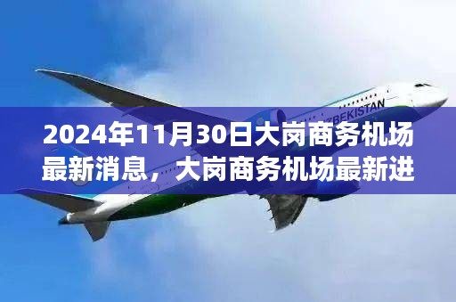 独家解析，大岗商务机场最新进展与消息，深度解读其未来展望（截至2024年11月30日）