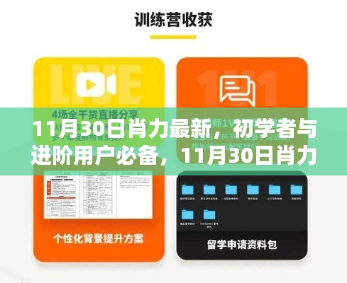 初学者与进阶用户必备，肖力最新技能学习全攻略（11月30日更新版）