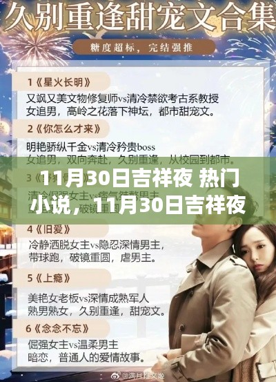 11月30日吉祥夜，热门小说的魅力与争议