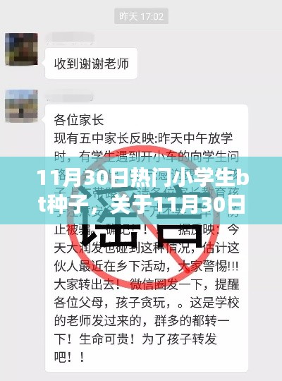 11月30日热门小学生BT种子，虚假信息评测与警示