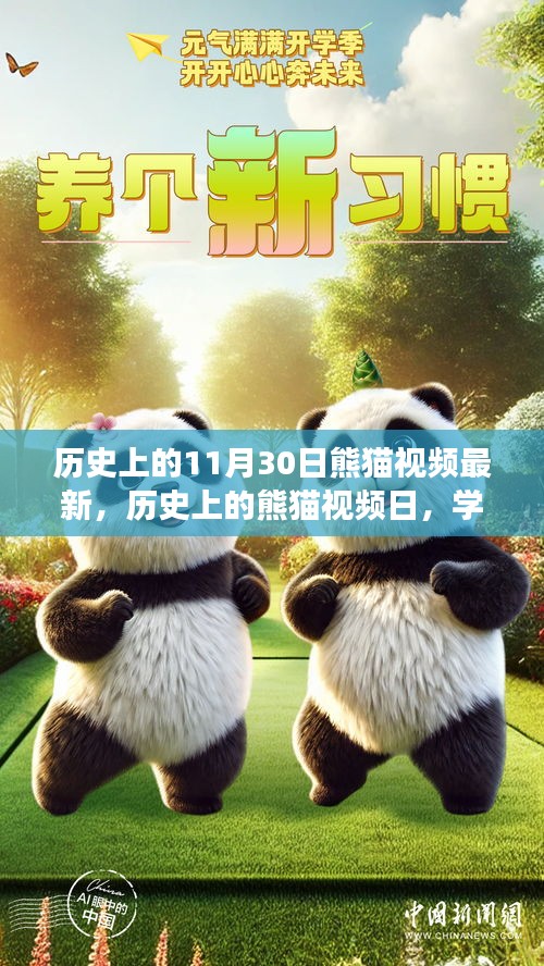 历史上的熊猫视频日，共成长与学习变化的自信闪耀