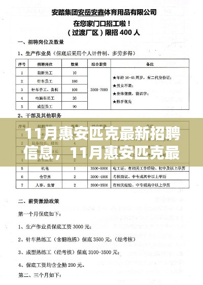 11月惠安匹克最新招聘信息全面解析与介绍