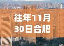 合肥房产资讯，市场走势、热门楼盘及投资前景分析（往年11月30日最新资讯）