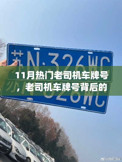老司机车牌号背后的故事，秋日旅程中的温情与热门车牌揭秘