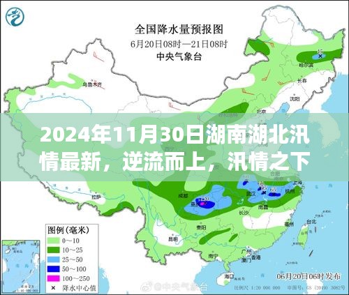 湖南湖北汛情最新动态，逆流而上展现英勇，成长之路见证坚韧与力量