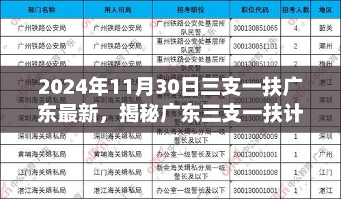 广东三支一扶计划最新动态揭秘与展望（2024年11月版）