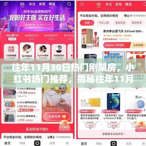 揭秘，往年11月30日火爆刚架房的独特魅力与小红书热门推荐榜单！