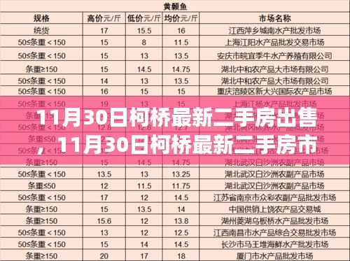 柯桥最新二手房市场深度解析与优选房源推荐