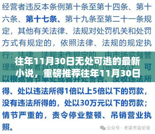 往年11月30日无处可逃，最新小说重磅推荐与震撼来袭