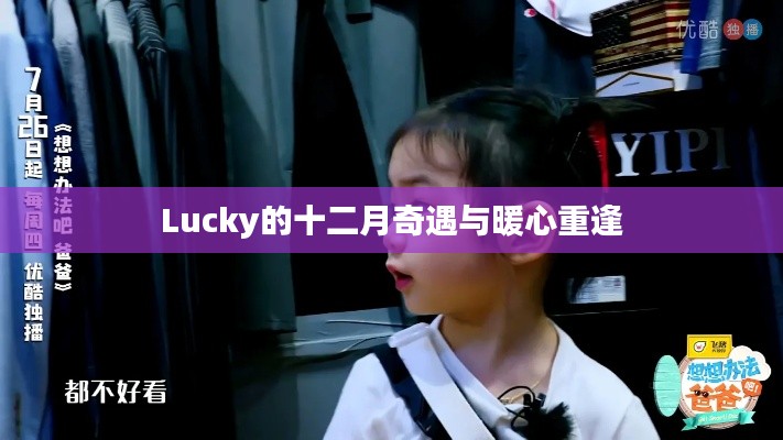 Lucky的十二月奇遇与暖心重逢，温馨故事回顾
