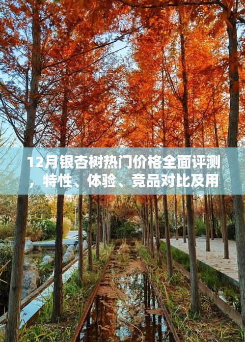 12月银杏树热门价格全面解析，特性、体验、竞品对比及用户群体深度剖析